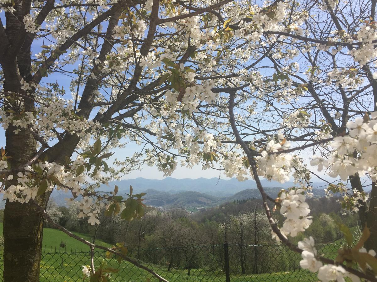 Apartamento Boccaor Paderno del Grappa Exterior foto
