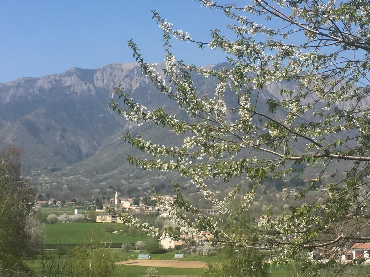 Apartamento Boccaor Paderno del Grappa Exterior foto